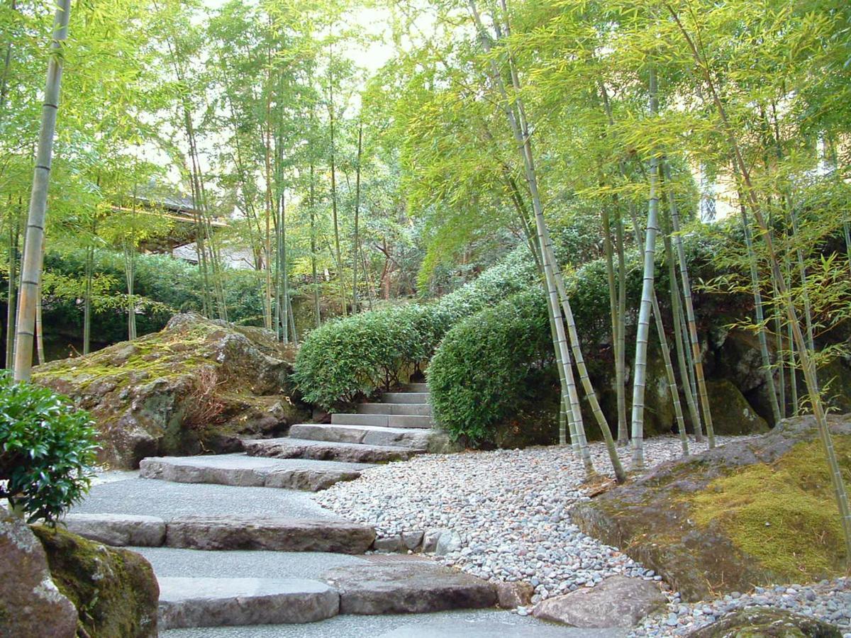 Tkp Lectore Hakone Gora Exteriör bild
