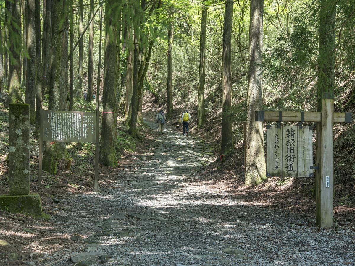 Tkp Lectore Hakone Gora Exteriör bild